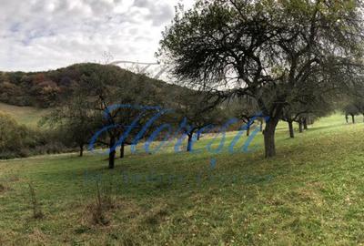 Spațiu comercial, în Florești - 1