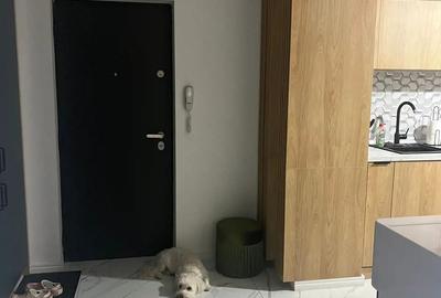 Proprietar Vand apartament 2 camere Bulevardul Basarabia 55 - 5