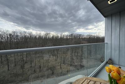 Garsonieră, mobilată în Mogoșoaia - 13