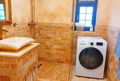 Sacalaz - casa de vanzare - 16