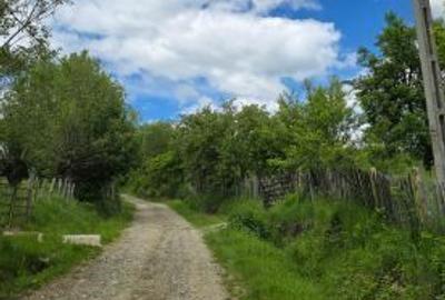 Vand Teren Corbeni, Arges zona Cetatea Poenari, Transfagarasan - 6