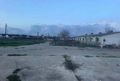 Teren în Valu lui Traian - 12