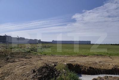 Teren de 10000 mp, în Nufărul