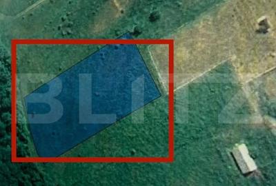 Teren de 4550 mp, în Cetate