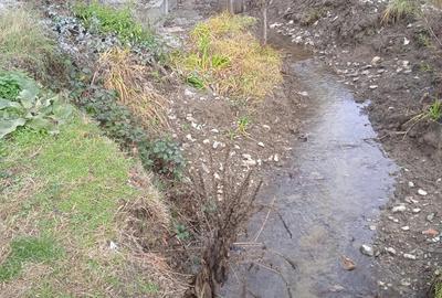 Casa de vanzare la Tincova, judetul Cara? Severin - 5