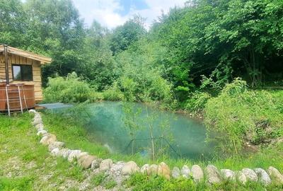Casa de vacanta superba cu lac Rasnov-Glejerie - 12