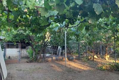 Casă în Central - 1