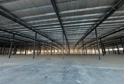 Spațiu industrial, de 5,000 mp, în Afumați - 6