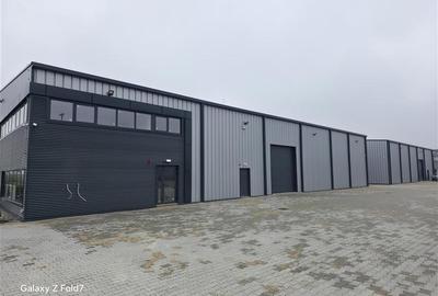 Spațiu industrial, de 3,000 mp, în Mogoșoaia - 3