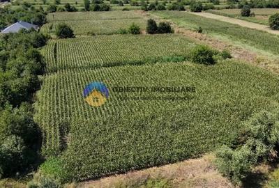 Teren de 3866 mp, în Izvoare (Dumbrava Roșie) - 10