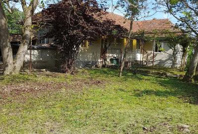 Casă cu 3 camere cu Teren 1440 Mp în Valcău de Jos - 5