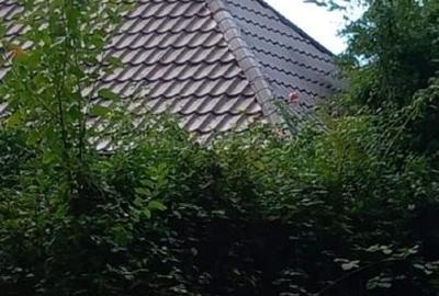 APUSENI! Casă modernizată cochetă, teren imens, pădure Țara Zarandului - 9