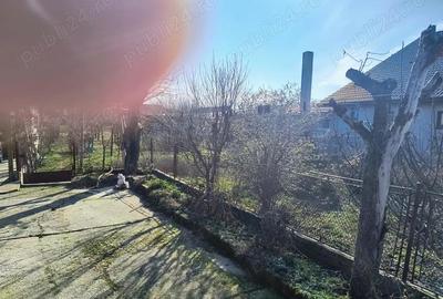 Casă cu 3 camere în Periam - 1