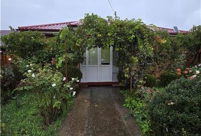 Casă individuală cu 3 camere cu Canalizare în Valu lui Traian - 30