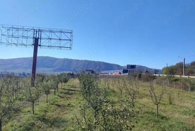 Teren de 12300 mp, în Crainimăt - 7