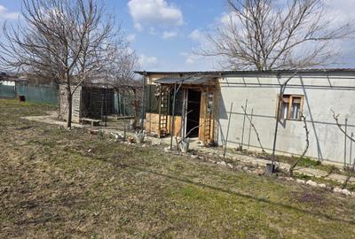 Teren de 865 mp, în Deleni - 2