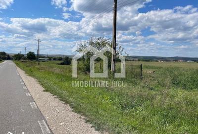 Teren de 1500 mp, în Jucu