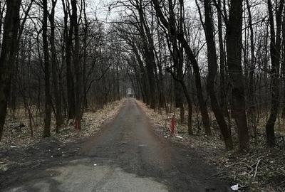 Teren Construcții extravilan în Băneasa