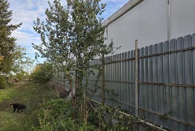 Teren intravilan 9970 mp , com. Chirnogi, jud. Calarasi (situat la 50-60 km de Bucuresti) - 9