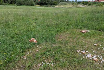 Spațiu comercial, în Bună Ziua - 1