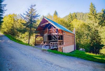 Pensiune | Casa de vacanta | 6 camere | 150mp utili | Statiunea Rausor - 31