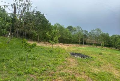Vând teren 1050m² in Petrovaselo ( Recas ) 19900 - 2