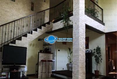 Vanzare vila P+M Targoviste, exterior sud - 8