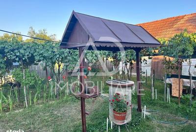 Casă cu 2 camere în Urechești - 13