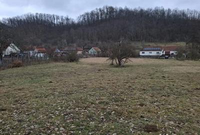 Teren de 3140 mp, în Petriș