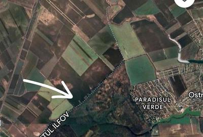 Teren de 380000 mp, în Crevedia - 3