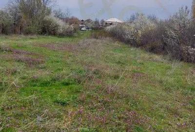 Teren Topoloveni - 3670 mp - langa padure, aproape de Centrul orasului - 5