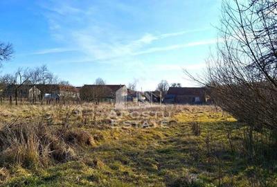 Casa de caramida in Tela si Teren Generos de 4320 mp - 6