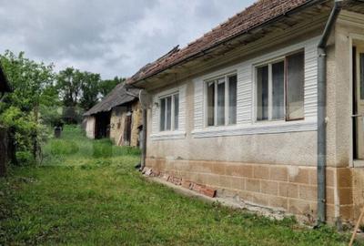 Casa la tara in Beudiu, comuna Nu?eni + teren arabil - 4