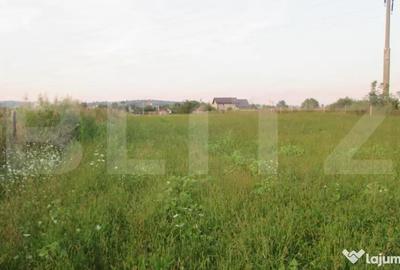Teren de 6000 mp, în Turda - 7