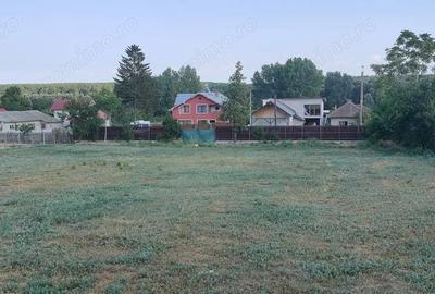 Spațiu comercial, în Borcea - 3