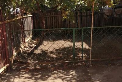 Casa cu 3 camere ~ zona Liceul de Arte ~ 170mp ~ Pret: 75.000 neg. - 4