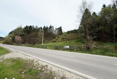 Teren de 10290 mp, în Șinca - 4