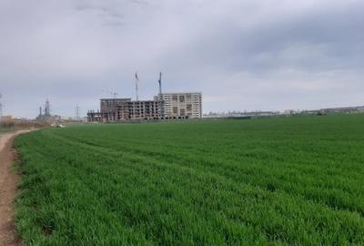 Teren Construcții intravilan de 9993 mp, în Metalurgiei - 1