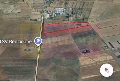 Teren 40ha Adunatii Copaceni | Industrial/ Logistic - 2