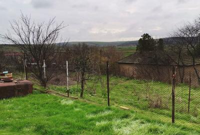 Seimenii Mici  Casa  Individuala 3 Camere Chirpici  S.teren  2100 Mp/42 Acte OK - 6