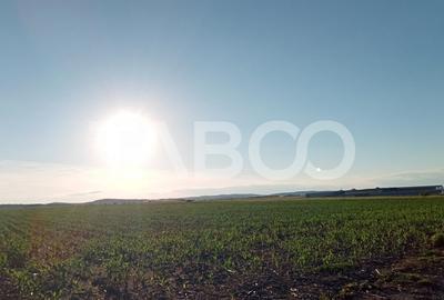 Teren intravilan 20.8 ha deschidere drum zona Industriala Vest Sibiu - 3