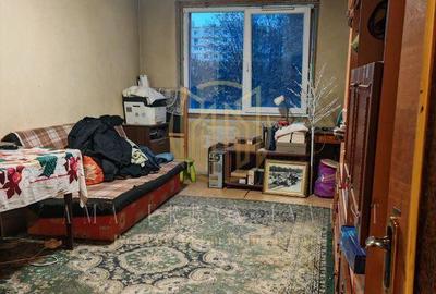 Teiul Doamnei Doamna Ghica 4 camere 87 mp , pret 139000eur - 6