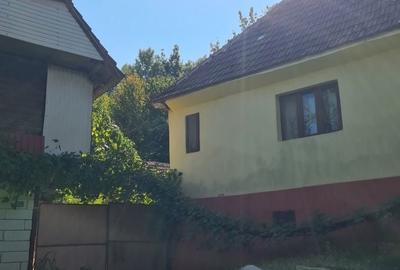 Casă cu 4 camere în Criștioru de Jos - 2