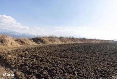 Spațiu comercial, în Vulcan - 11