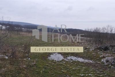Teren Construcții intravilan de 7500 mp, în Sud - 3