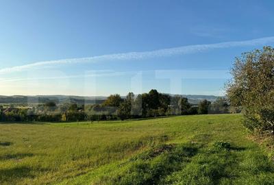 Casa in Alunis, 10.000 mp de teren, cu vie si livada, vedere panoramica - 4