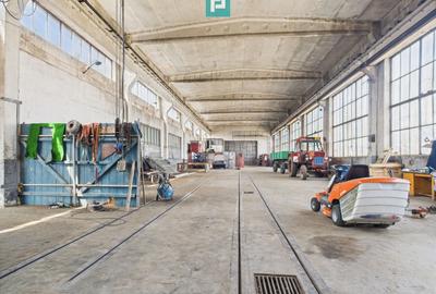 Spațiu industrial, de 700 mp, în Orțișoara - 6