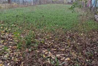 Vand casa Par?coveni - 3