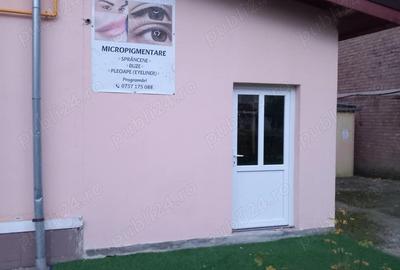 Spatiu de inchiriat Hateg - 1