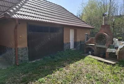 Casă cu 5 camere cu Teren 200000 Mp în Șerel - 1